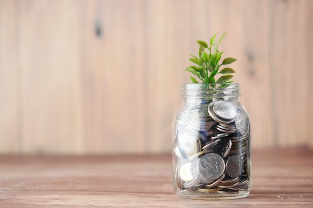 Budget coach kan jou helpen met financiën